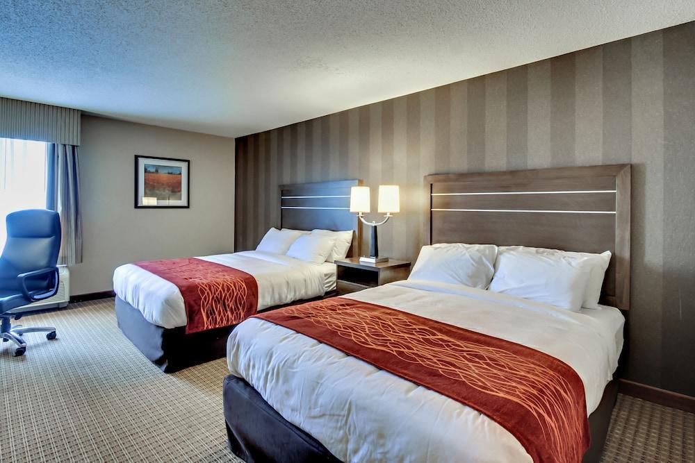 Quality Inn & Suites Bel Air I-95 Exit 77A Zewnętrze zdjęcie
